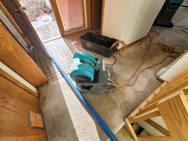 Best Basement water damage restoration  in Wchester, IN