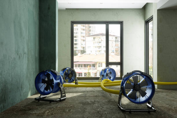 Best Fire Damage Restoration  in Wchester, IN